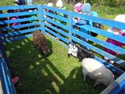 Velikonoce ve školce